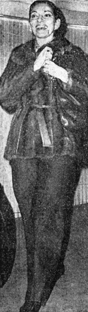 36_.jpg (81068 bytes)